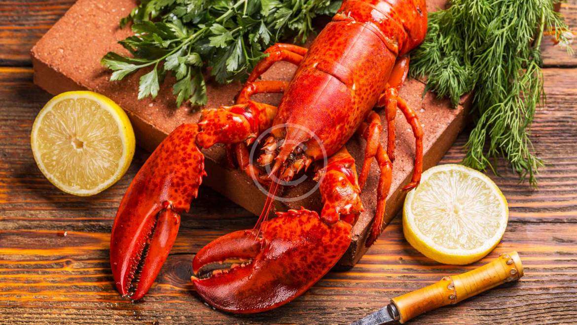 Seafood and international trade law